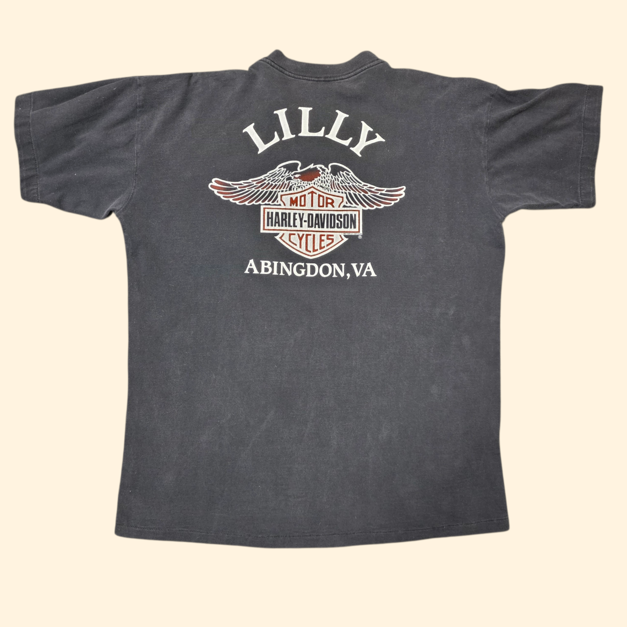 1990s Harley Davidson No Fear Eagle T Shirt ~ XXL ~ Extra Large Lilly Abingdon VA