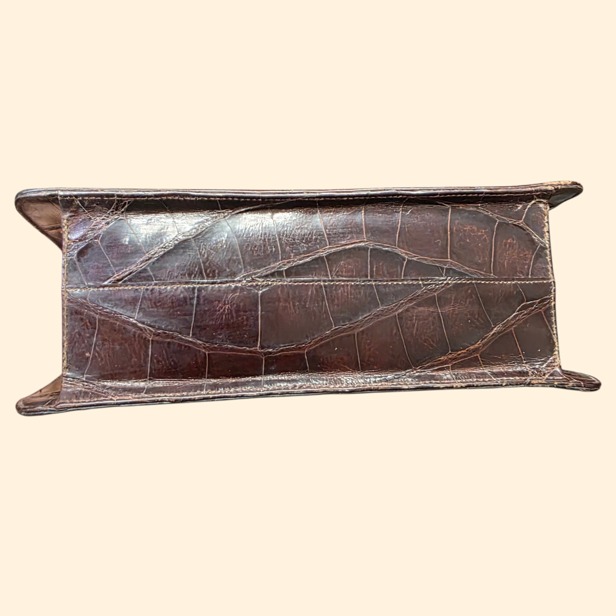 1950s Genuine Alligator Handbag ~ Sterling Purse