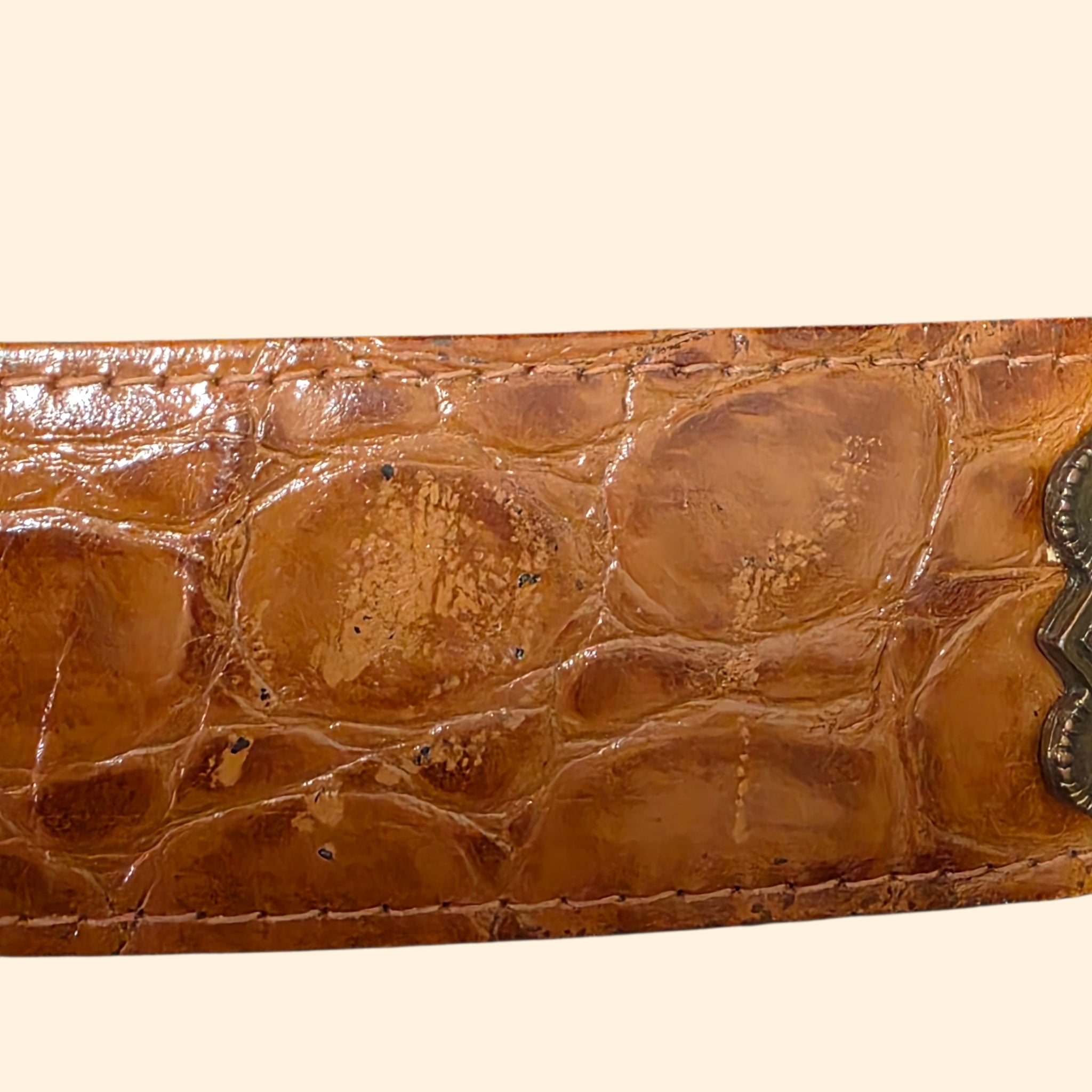 1990s The Limited Brown and Brass Tone Leather Belt ~ Medium ~ Medallion Alligator