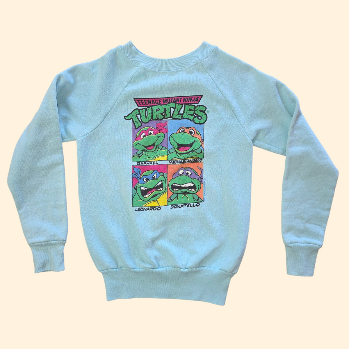 1990s Teenage Mutant Ninja Turtles Crewneck Sweatshirt ~ Youth Medium 10 12 ~ Kids